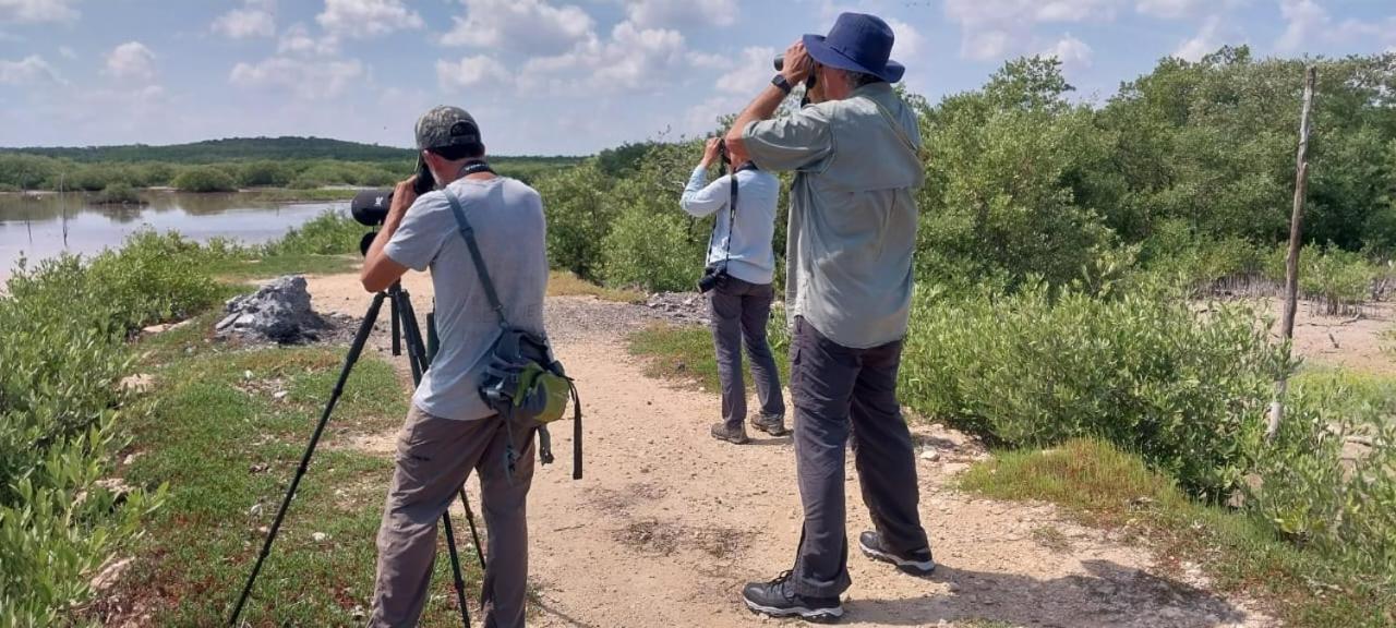 Casa Jade Ecobungalows Las Coloradas Yuluc Eksteriør billede