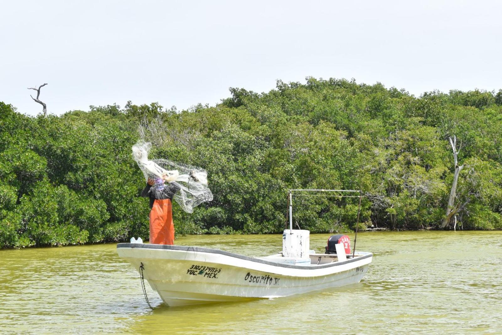 Casa Jade Ecobungalows Las Coloradas Yuluc Eksteriør billede